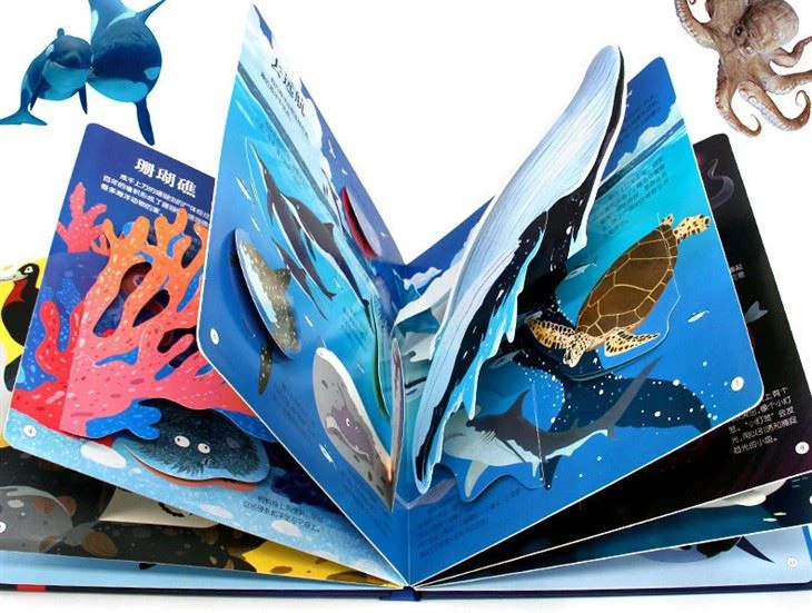 Pop Up Book Example